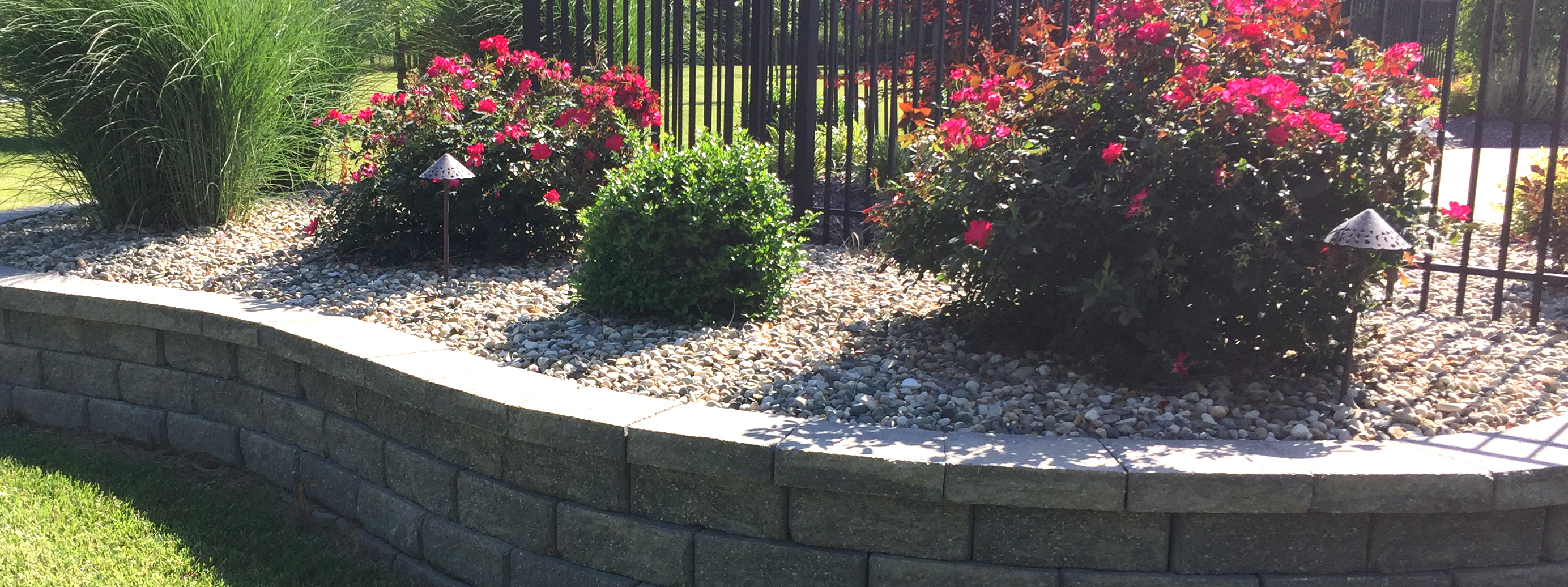 tree-landscape-heading